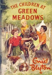 The Children at Green Meadows (Enid Blyton)
