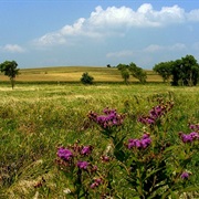 Prairie Rose State Park, Iowa