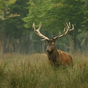 Vosges Du Nord Regional Park, France