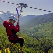 Go on a Zip Line