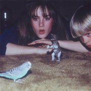 Big Thief, Masterpiece