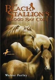 The Black Stallion&#39;s Blood Bay Colt (Farley, Walter)