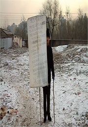 China's Bleak House (2011)