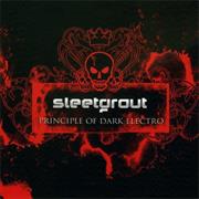 Sleetgrout - Principle of Dark Electro