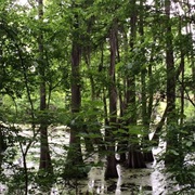 Hillside National Wildlife Refuge