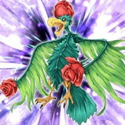 Bird of Roses