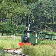 Margam Park Railway