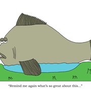 Big Fish in a Small Pond