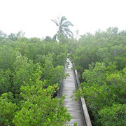 Key Largo Hammock Botanical State Park, Florida