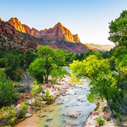 Go to Zion National Park