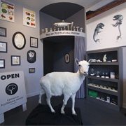 Center for Postnatural History