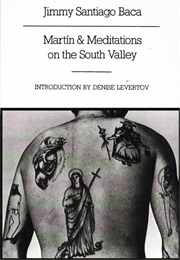Martin and Meditations on the South Valley (Jimmy Santiago Baca)