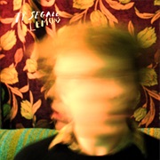 Ty Segall, Lemons