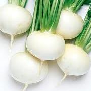 Turnip