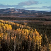 Tetlin National Wildlife Refuge
