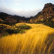 Koroyanitu National Park, Fiji