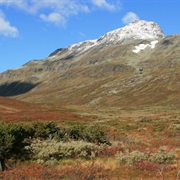 Nørdre Kalvehølotinden