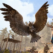 Owl (Farcry)