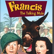 Francis the Talking Mule
