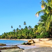 Southern Caribbean Coast of Costa Rica