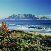 Table Mountain, South Africa