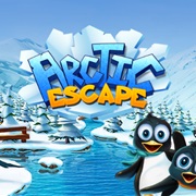 Arctic Escape
