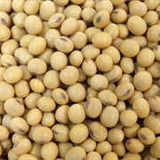 Soybean