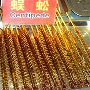 Centipede