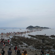 Jindo Island, South Korea