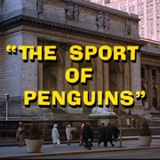 The Sport of Penguins