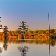 Wildnative Delta Safaris