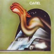 Camel- Camel