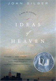 Ideas of Heaven: A Ring of Stories (Joan Silber)