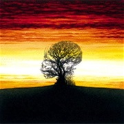 Discipline - Unfolded Like Staircase