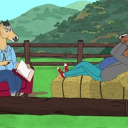 A Horse Walks Into Rehab