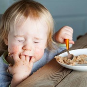 Find Out Where Your Food Comes From - What Happended Between Your Plate and a Seed?