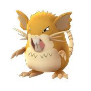 Raticate