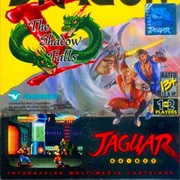 Double Dragon V: The Shadow Falls