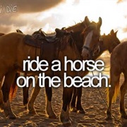 Ride a Horse on the Beach
