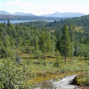 Blafjella-Skjaekerfjella NP Norway