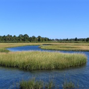 Narragansett Bay National Estuarine Research Reserve