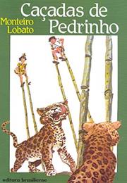 Caçadas De Pedrinho