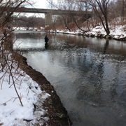 Lackawanna River