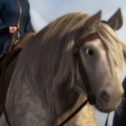 Elinor's Horse