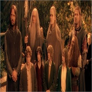 Lord of the Rings Fellowship of the Ring