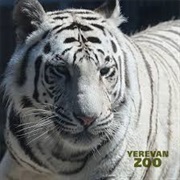 Yerevan Zoo, Armenia