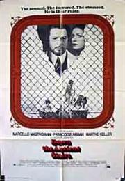 Down the Ancient Stairs