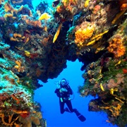 Palancar Reef, Cozumel, Mexico