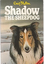 Shadow the Sheepdog (Enid Blyton)