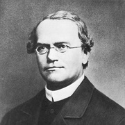 Gregor Mendel